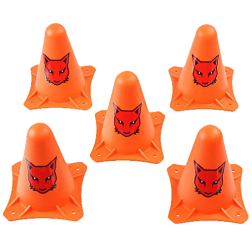 RCR-CONE