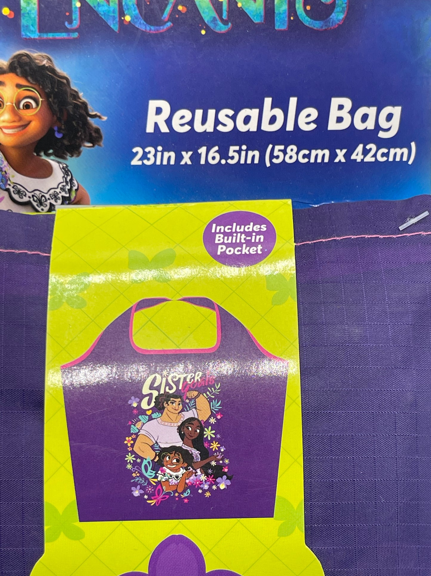 Disney Encanto Reusable Bag 23" x 16.5"