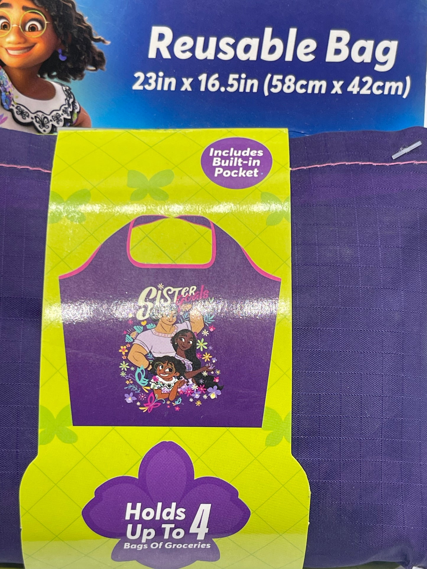 Disney Encanto Reusable Bag 23" x 16.5"